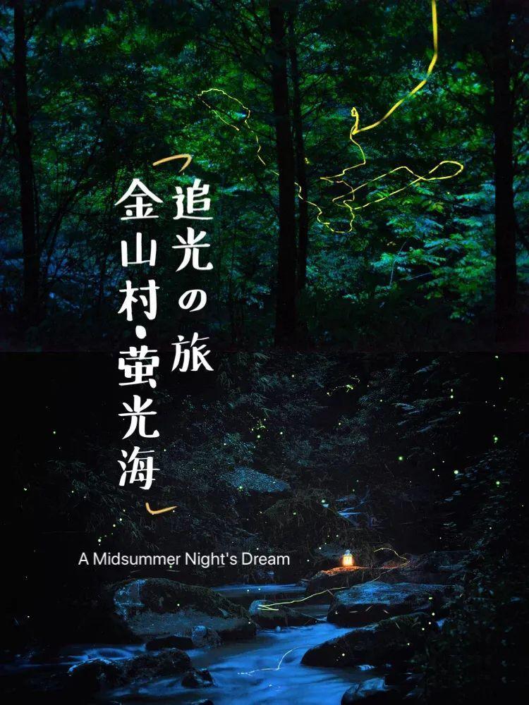春雨直播app